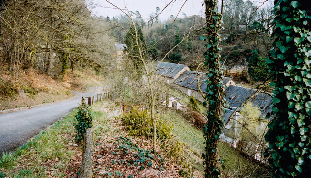Grünewald / Pfaffenthal, 2017